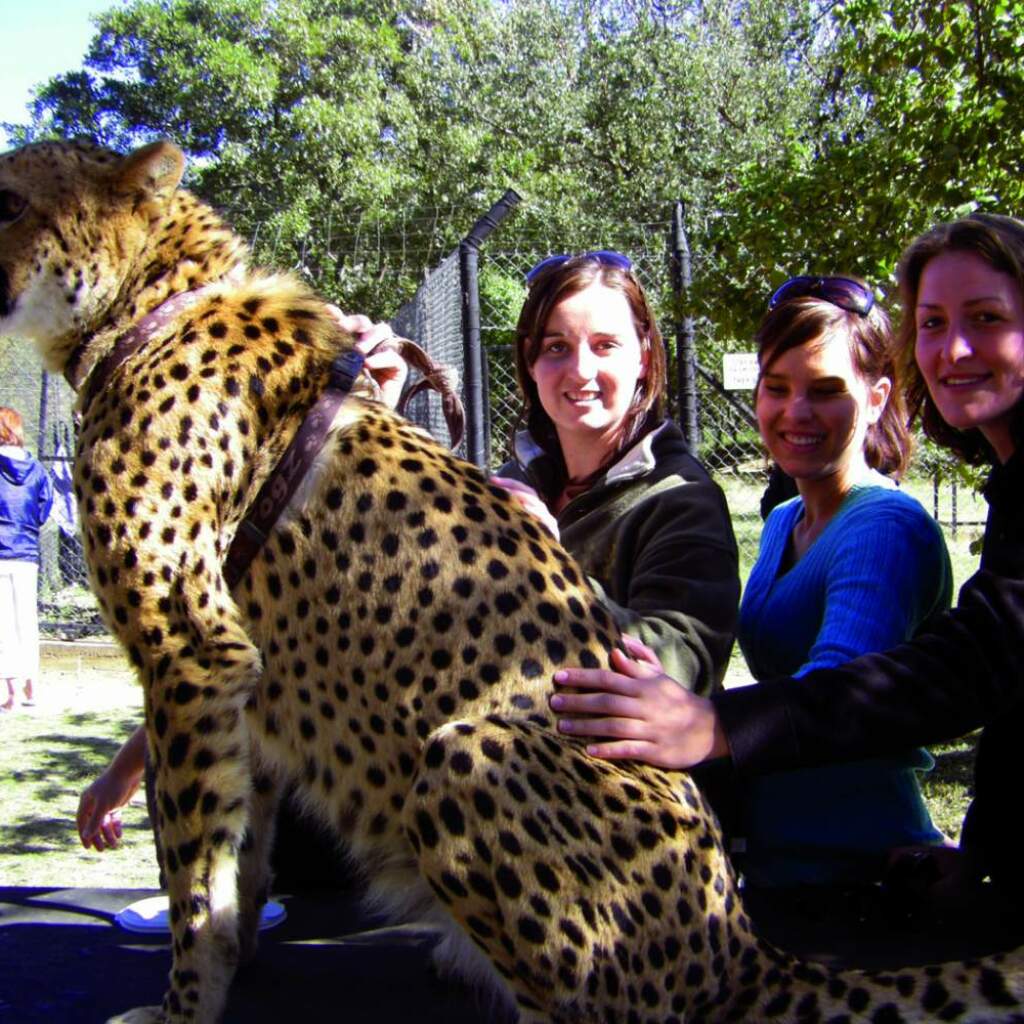 Lesotho, Eswatini & Krüger - Camping oder Lodge Entdeckungsreise mit Safari